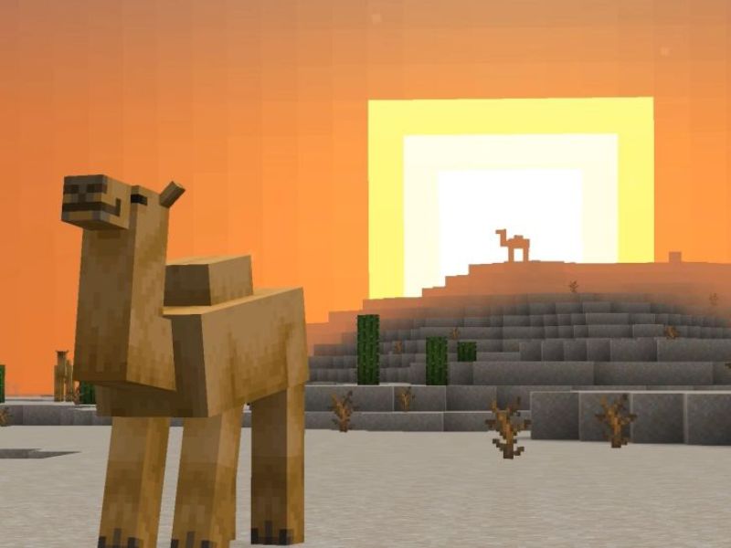Minecraft 1.20.40 Khám Phá Lạc Đà: Phương Tiện Vận Chuyển Mới 